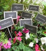 Garden Signs Youtube pictures